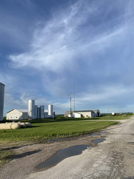 Alicia - June 2021 (newer photo)